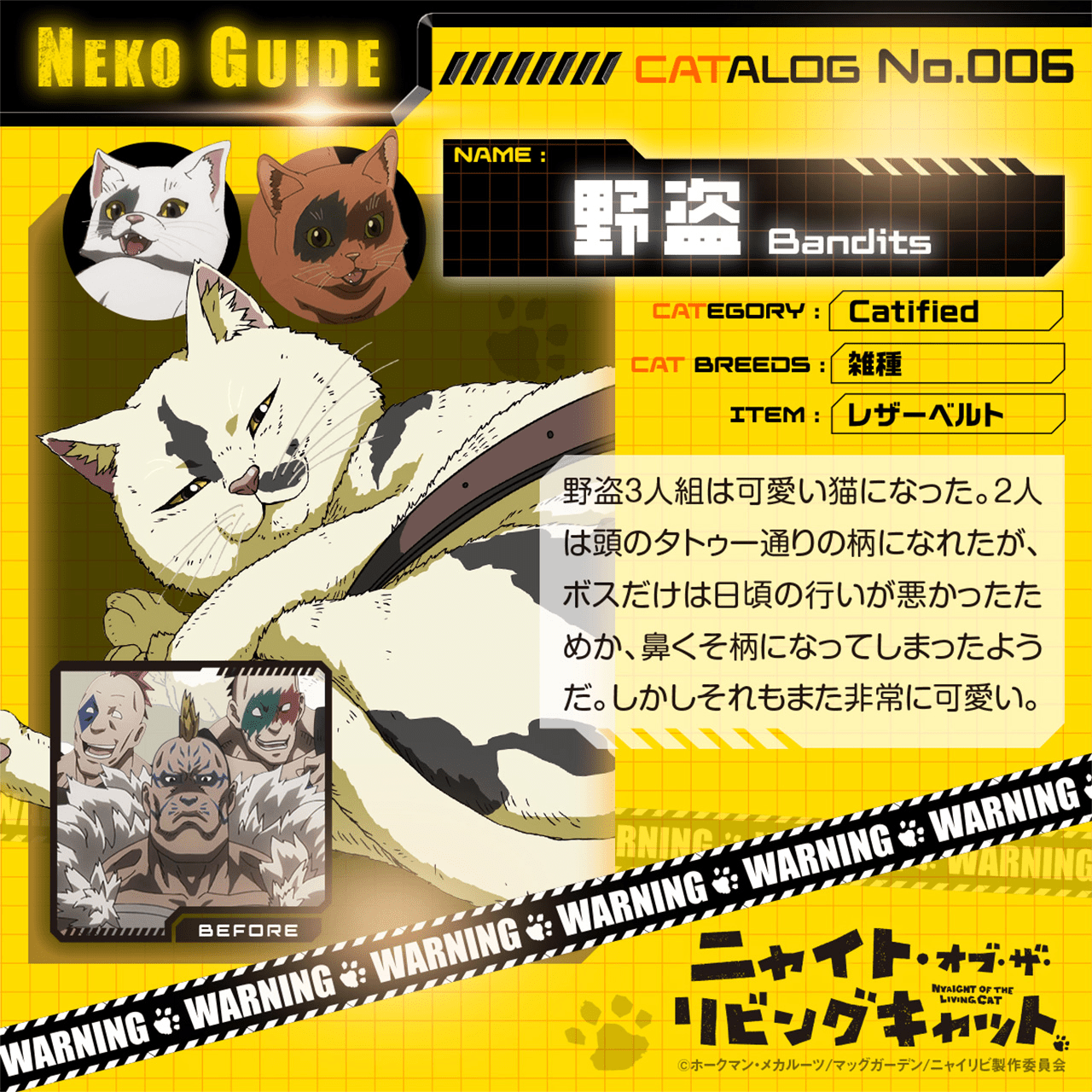 野盗