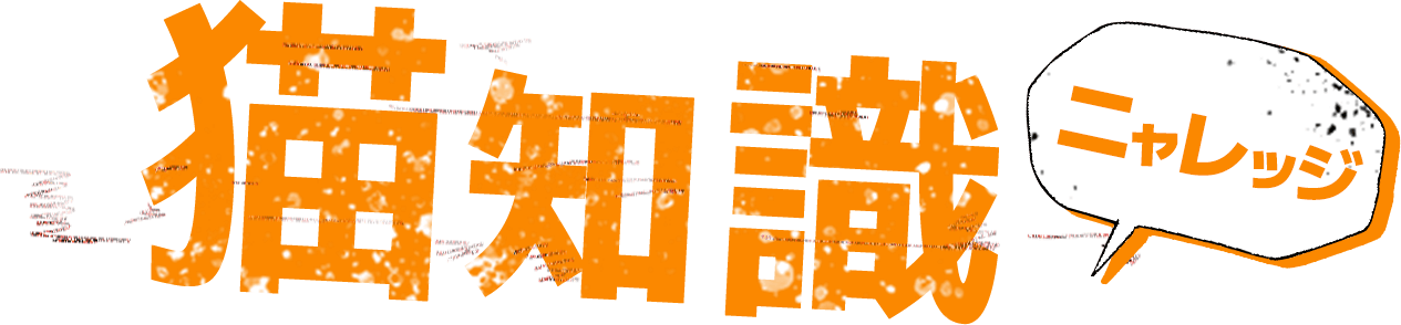 猫知識（ニャレッジ）