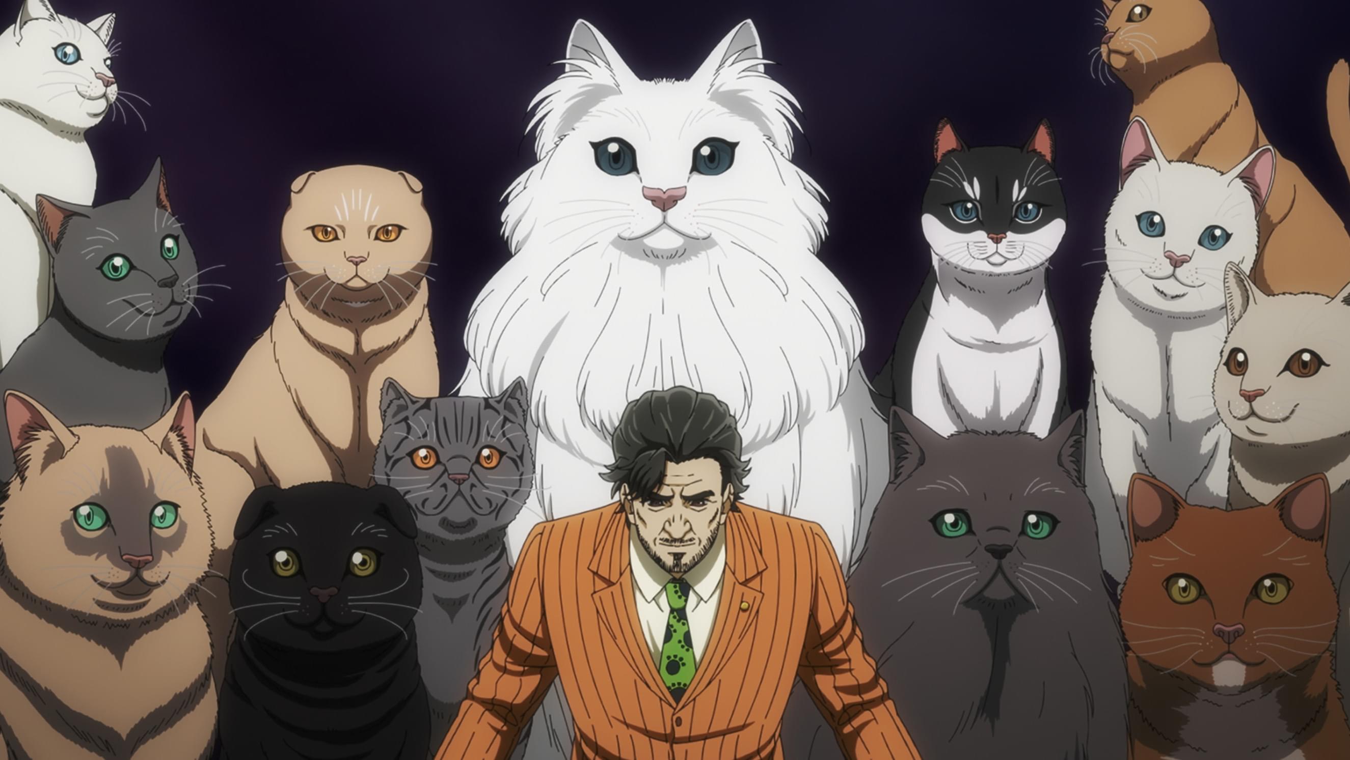 猫の牢獄