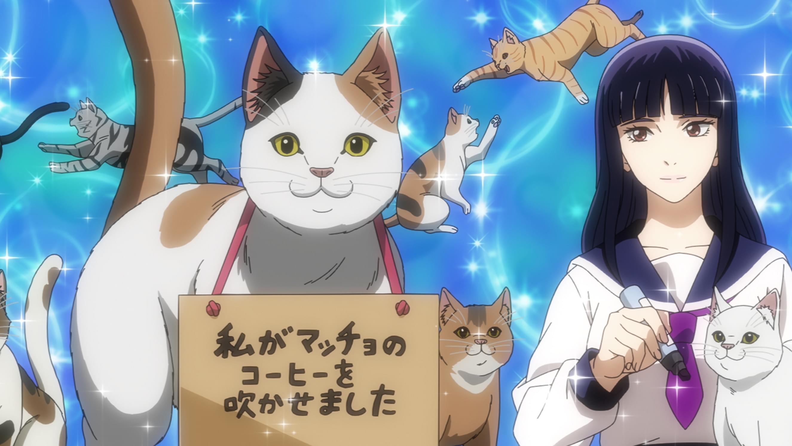 猫の牢獄