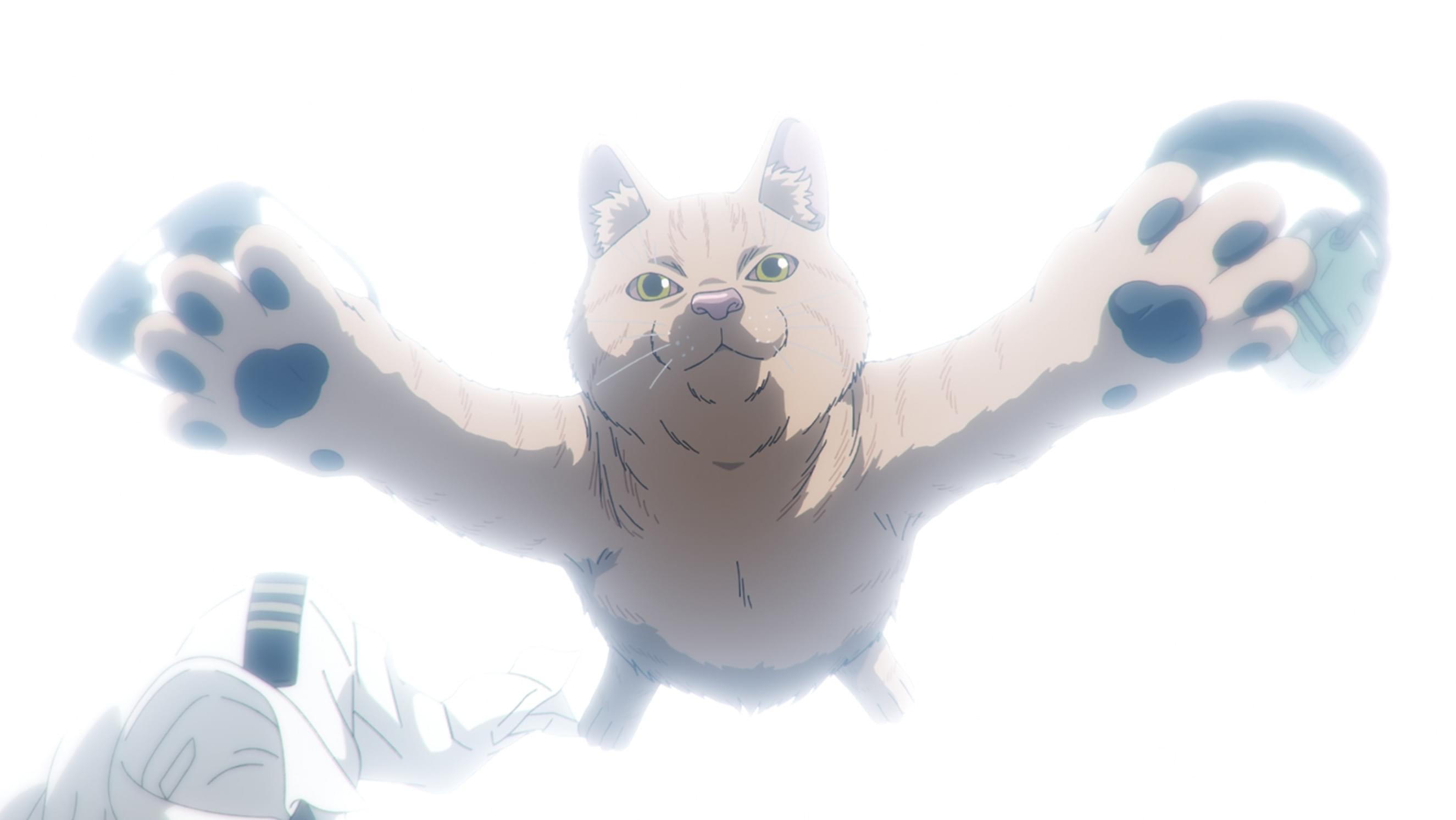 猫の牢獄