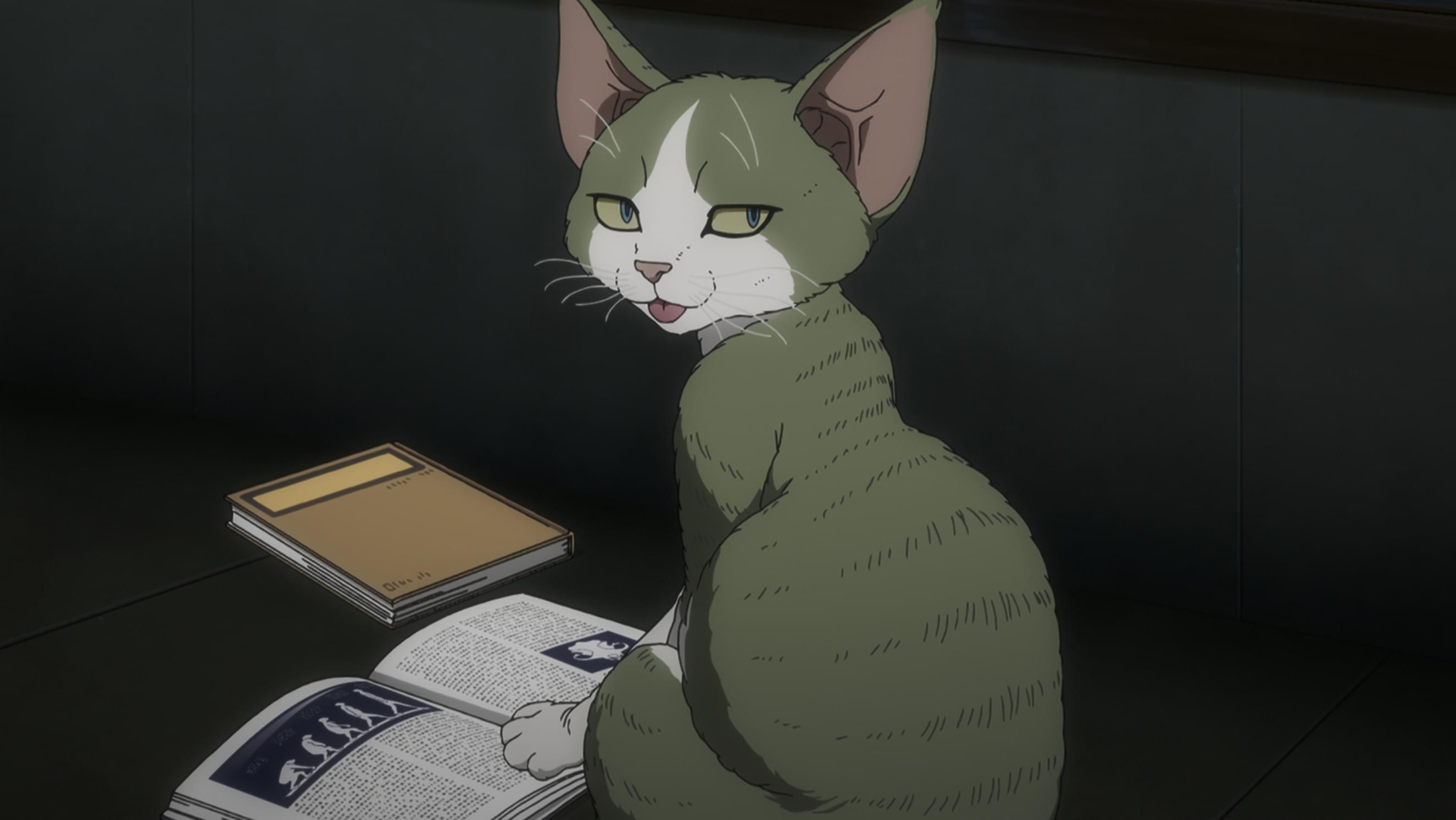 遊星からの猫D-REX